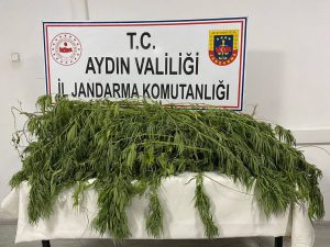 Germencik’te Uyuşturucu Operasyonu
