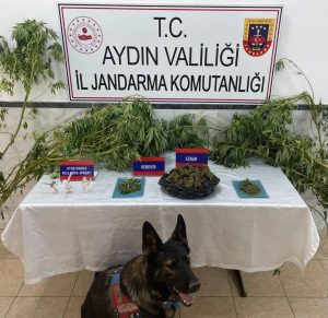 Kuyucak’ta Uyuşturucu Operasyonu