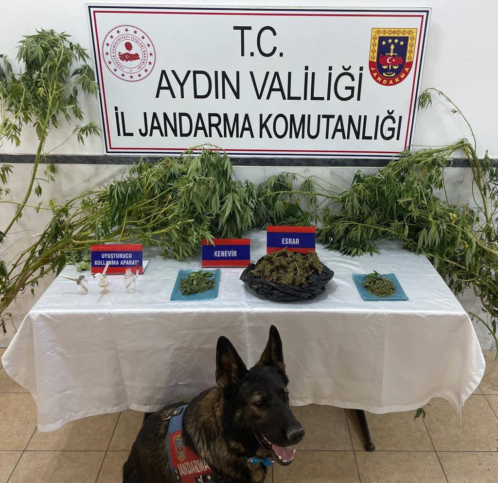 Kuyucak’ta Uyuşturucu Operasyonu