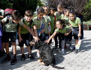 Kuşadası’nda Çocuklardan Can Dostlarına Sevgi Seli