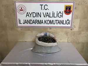 Germencik’te Tarımsal Ürün Hırsızlığına Müdahale