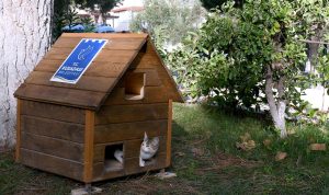 Kuşadası Belediyesi Can Dostları Unutmadı