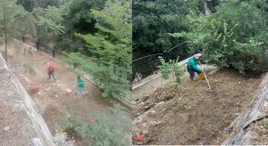Tabakhane Deresi Çevresi Daha Sağlıklı Bir Görünüme Kavuşuyor