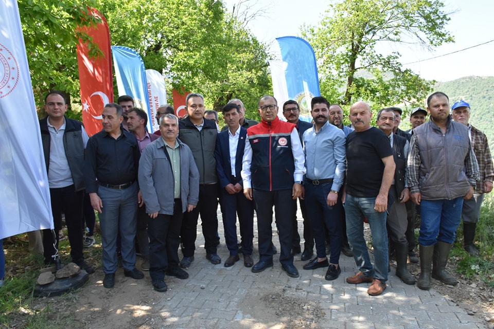 Kestane Gal Arısı Mücadelesinde İlimizde İlk Defa Predatör Böcek Salınımı