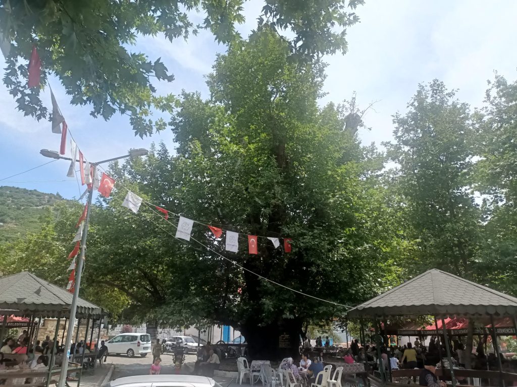 Selatin “Köy Pazarından” Çok Mutlu
