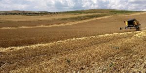 Tarımsal Girdi Fiyatı Yüzde 52, Buğday Fiyatı Yüzde12 Arttı