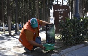 Kuşadası’nda Sokak Hayvanları Emin Ellerde