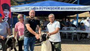 Aydın BŞB Üreticilere Sakız Koçu, Sakız Koyunu, Çine Çaparı Ve Honamlı Keçisi Hibe Etmeye Devam Ediyor