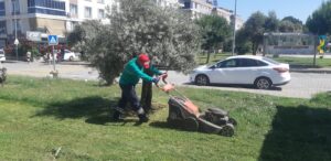 EFELER’İN YEŞİL ALANLARI BAŞKAN YETİŞKİN’LE DAHA KONFORLU