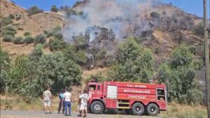 Nazilli’de tarım arazisinde yangın çıktı