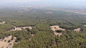 Karacasu Kaymakamlığı’ndan ‘Ormana Giriş Yasağı’ hatırlatması