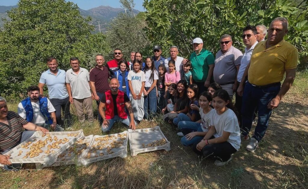 Köşk’te gönüllü hasat şenliği gerçekleştirildi