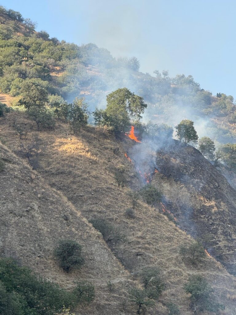 Buharkent’te orman yangını