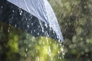 Aydın’da yağışlı hava sürecek
