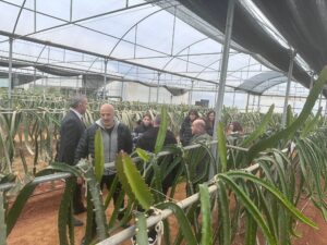 “Efeler’de Pitaya Güçleniyor” projesi incelendi