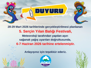 Serçin Yılan Balığı Festivali Sağanak Yağış Nedeniyle Ertelendi