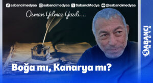 Boğa mı, Kanarya mı?