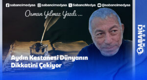 Aydın Kestanesi Dünyanın Dikkatini Çekiyor